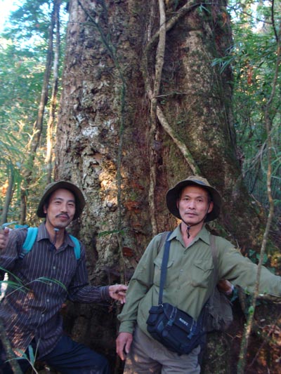 Lương y Phạm Văn Thanh và ông Trần Ngọc Lâm trong một chuyến đi rừng tìm cây thuốc quý